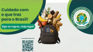 Produtos permitidos viagens