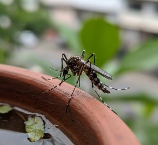 Imagem criada por Inteligência Artificial