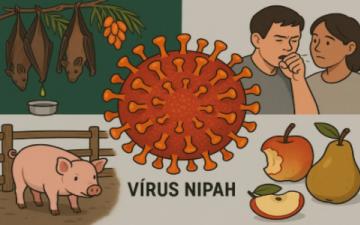 Vírus Nipah