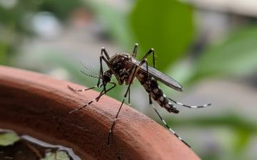 Imagem criada por Inteligência Artificial