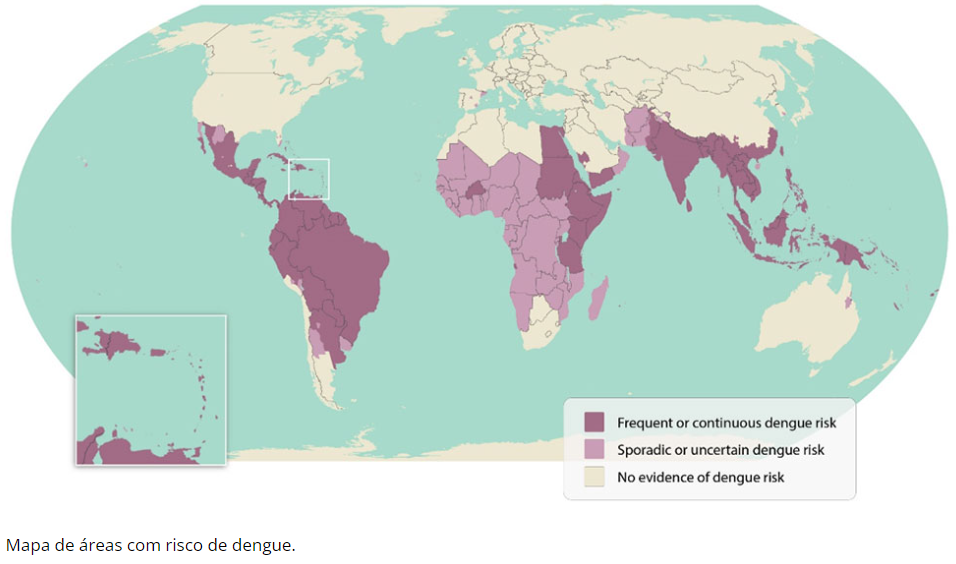 Dengue no mundo