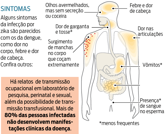  infográfico 