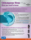O que você precisa saber sobre o vírus chikungunya