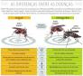 Sintomas dengue e chikungunya