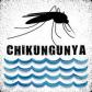 Febre Chikungunya