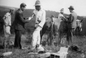 Febre Amarela Foto
Profissionais de saúde vacinam trabalhadores do campo contra a febre amarela no início dos anos 30. A foto foi capa de um livro lançado em 2002 pela Fiocruz sobre a saga do combate à doença no Brasil desde 1937