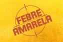 Febre Amarela