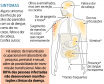 Zika e microencefalia