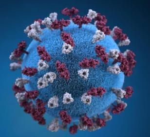 Virus sarampo banco de imagens CDC