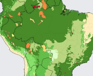 Mapa Febre Amarela Americas