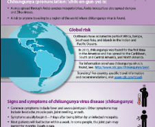 O que você precisa saber sobre o vírus chikungunya