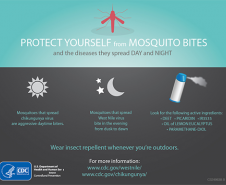 Proteja-se dos mosquitos