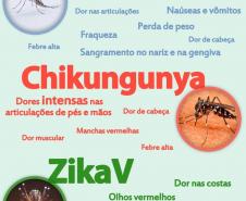 Dengue, Chikungunya e Zika