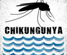 Febre Chikungunya