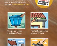 Combate ao Aedes aegypti