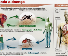 Sintomas e ciclo da FA