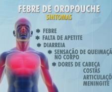 Oropouche sintomas