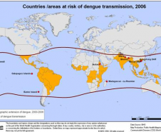 Áreas de risco de transmissão da dengue.
