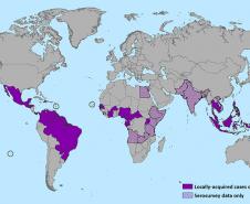 Zika vírus no mundo