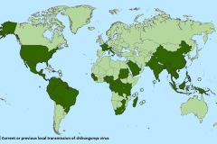 Países e territórios onde os casos de chikungunya foram relatados (até 20 de outubro de 2015).
Não inclui países ou territórios onde foram documentados apenas casos importados. Este mapa é atualizado semanalmente se há novos países ou territórios que relatam a transmissão local do vírus chikungunya.
