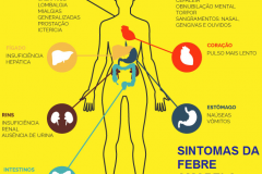 Sintomas da Febre Amarela