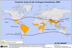 Áreas de risco de transmissão da dengue.
