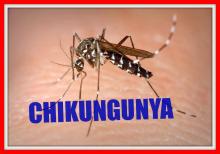 Febre Chikungunya