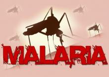 Plano de eliminação da malária no Brasil