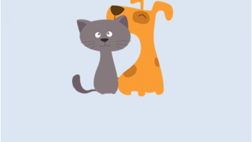 Cachorro e gato