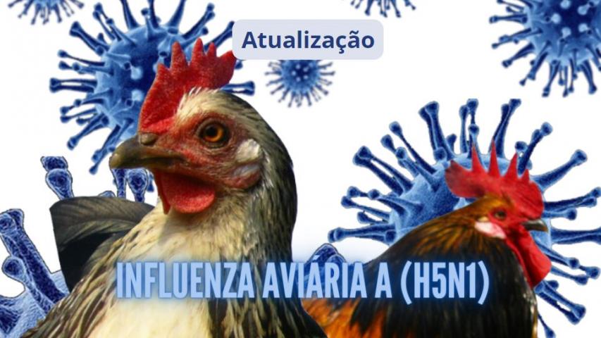 Atualização