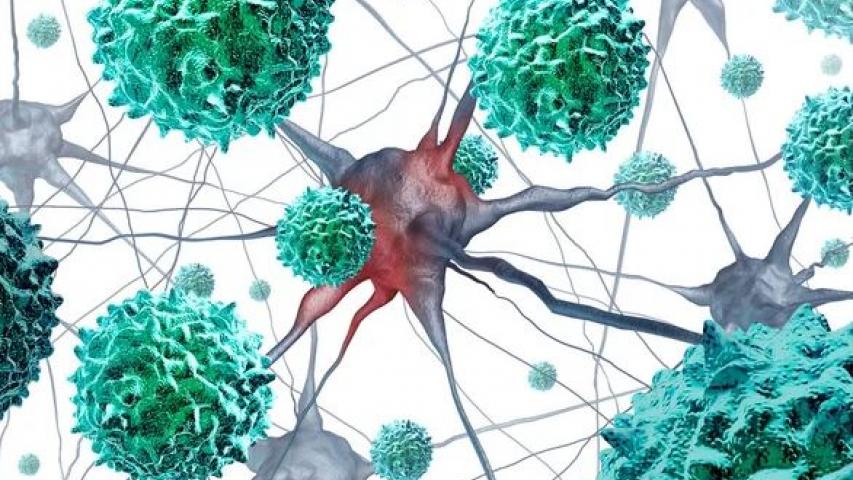 Poliovirus