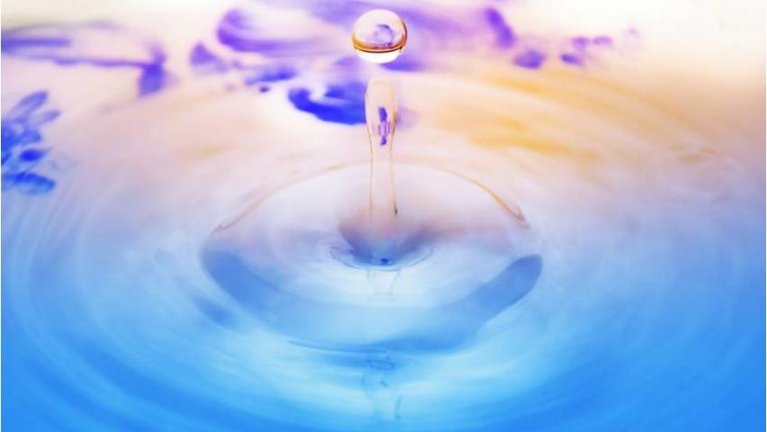 Gota