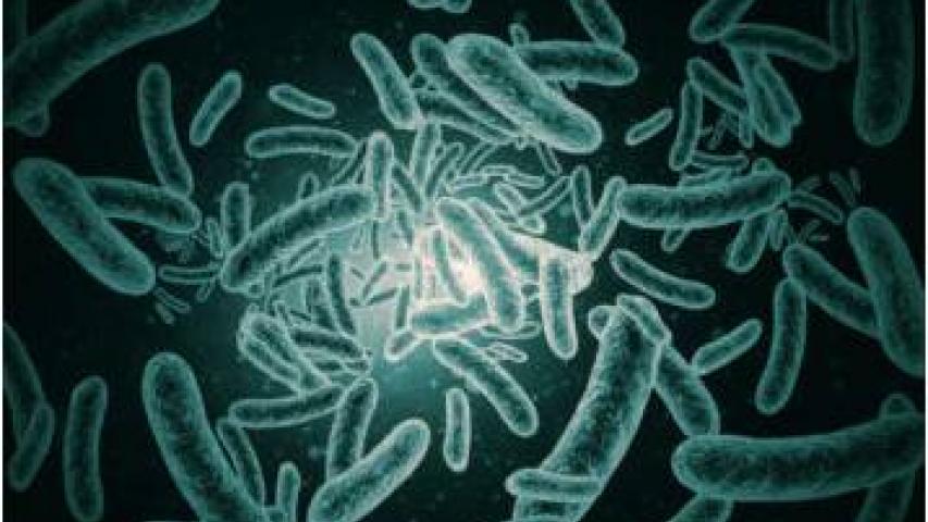 Difteria