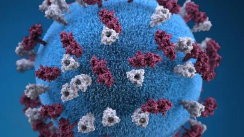 Virus sarampo banco de imagens CDC